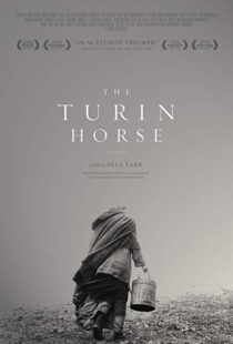 دانلود فیلم The Turin Horse 201110493-386950274