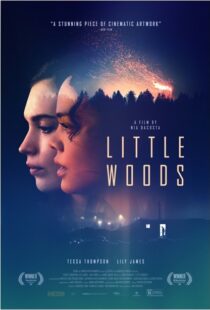 دانلود فیلم Little Woods 201822292-1014300484