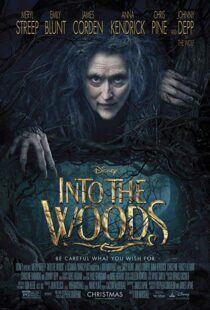 دانلود فیلم Into the Woods 20143675-946525227