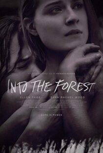دانلود فیلم Into the Forest 20159776-874399568