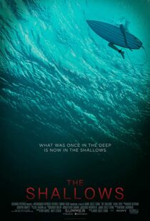 دانلود فیلم The Shallows 20166608-122911869