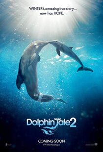 دانلود فیلم Dolphin Tale 2 201421312-1303362994