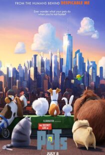 دانلود انیمه The Secret Life of Pets 20162913-1174253758