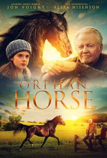 دانلود فیلم Orphan Horse 20188125-297240095