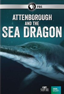 دانلود مستند Attenborough and the Sea Dragon 20188753-786523775