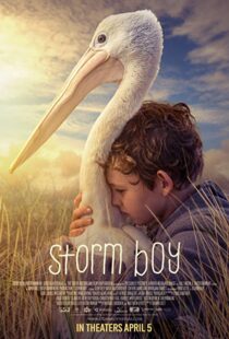 دانلود فیلم Storm Boy 20199003-1432833774