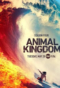 دانلود سریال Animal Kingdom18326-2013104930