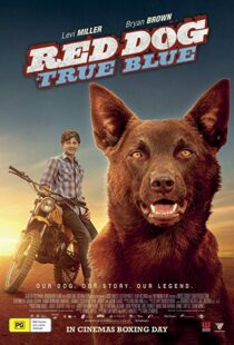 دانلود فیلم Red Dog: True Blue 20168899-1845171668