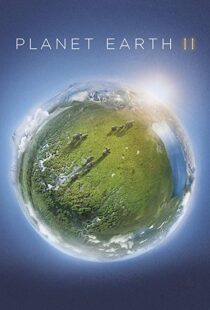 دانلود مستند Planet Earth II58204-188225820