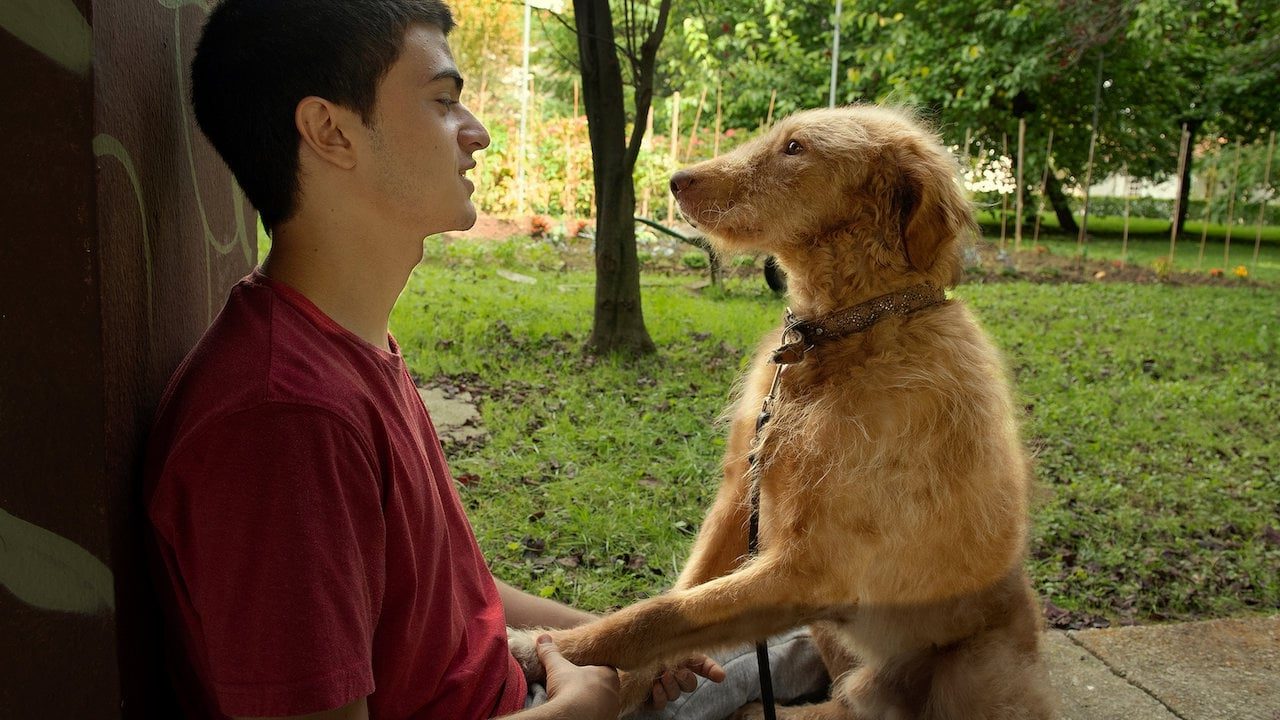 دانلود فیلم Seventeen (Diecisiete) 2019