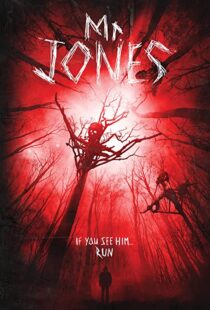 دانلود فیلم Mr. Jones 201337611-597371221