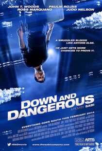 دانلود فیلم Down and Dangerous 201340211-1423101861