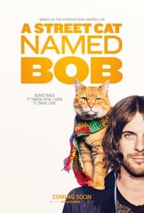 دانلود فیلم A Street Cat Named Bob 201641621-1328783803