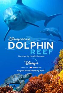 دانلود مستند Dolphin Reef 201838724-425669873