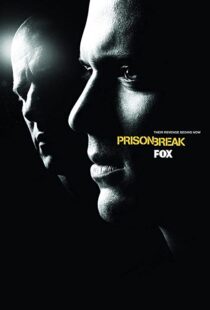 دانلود سریال Prison Break48244-852713659