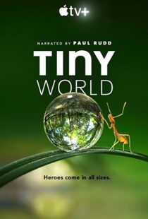 دانلود مستند Tiny World52124-949509209
