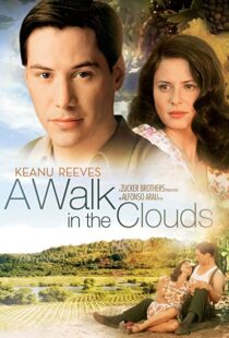 دانلود فیلم A Walk in the Clouds 199553815-167811397