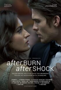 دانلود فیلم Afterburn/Aftershock 201777302-2046901166