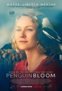 دانلود فیلم Penguin Bloom 202073302-1332880460