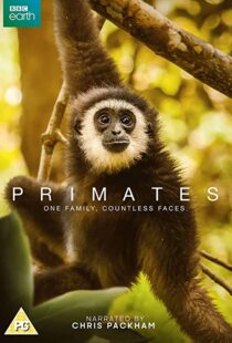 دانلود مستند Primates77865-1020817929
