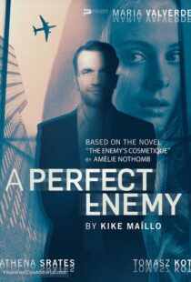 دانلود فیلم A Perfect Enemy 202082295-931273199