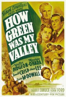 دانلود فیلم How Green Was My Valley 194181855-1207113963