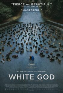 دانلود فیلم White God 201482109-1119860601