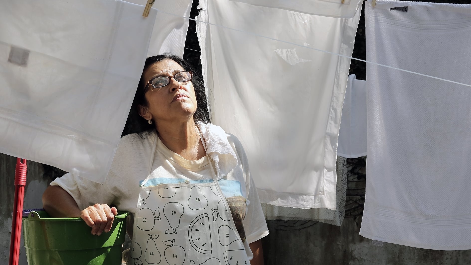 دانلود فیلم The Second Mother 2015