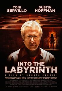 دانلود فیلم Into the Labyrinth 201991141-1693577840