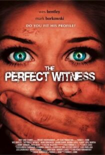 دانلود فیلم The Perfect Witness 200796937-1089361949