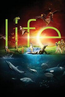 دانلود مستند Life96080-1616108516