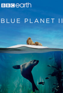 دانلود مستند Blue Planet II100194-1132526105
