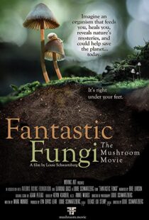 دانلود مستند Fantastic Fungi 2019100518-1753784060