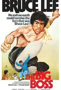 دانلود فیلم The Big Boss 197197560-1776336736