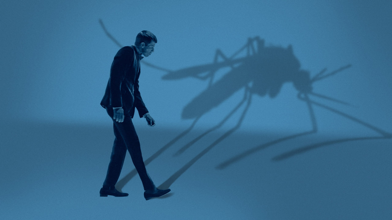 دانلود فیلم Mosquito State 2020