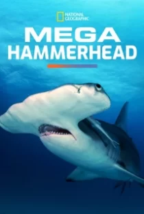 دانلود مستند Mega Hammerhead 2016103122-666014666