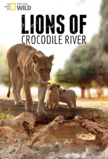 دانلود مستند Lions of Crocodile River 2007103328-1837251089