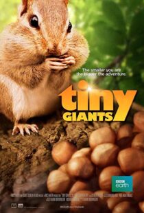 دانلود مستند Tiny Giants 3D 2014109664-493532878
