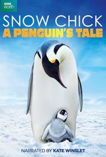 دانلود مستند Snow Chick: A Penguin’s Tale 2015109604-469862377