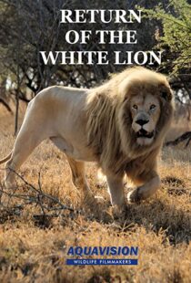 دانلود مستند Return of the White Lion 2008103488-781603739