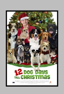 دانلود فیلم 12 Dog Days Till Christmas 2014100712-896196303
