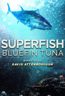 دانلود مستند Superfish Bluefin Tuna 2012101607-868812301