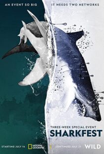 دانلود مستند Man vs. Shark 2019104475-1862631922