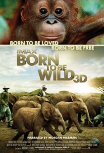 دانلود مستند Born to Be Wild 2011110503-149760805