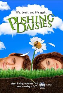 دانلود سریال Pushing Daisies112137-821874153