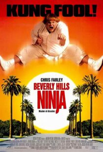دانلود فیلم Beverly Hills Ninja 1997111541-1404001871