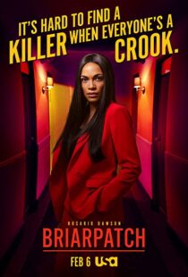 دانلود سریال Briarpatch112905-47885357