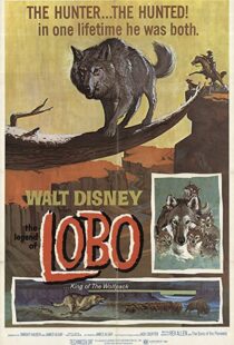 دانلود فیلم The Legend of Lobo 1962111441-401694337
