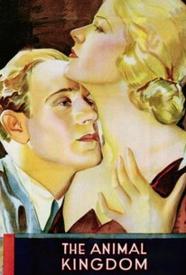 دانلود فیلم The Animal Kingdom 1932112004-1665085091