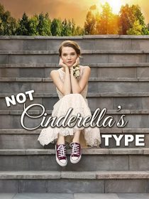 دانلود فیلم Not Cinderella’s Type 2018254350-399288567